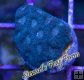 Blue Favia Blue Favia