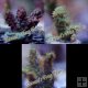 Frag Pack #6